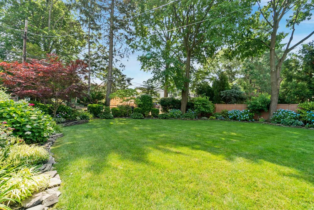 Backyard Grass