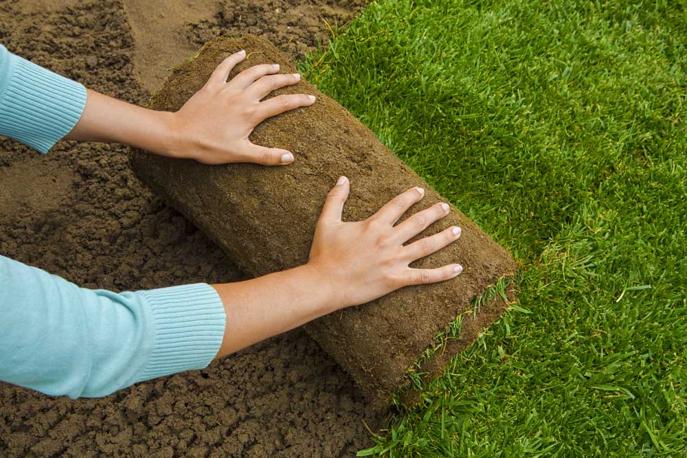 Hands On Sod