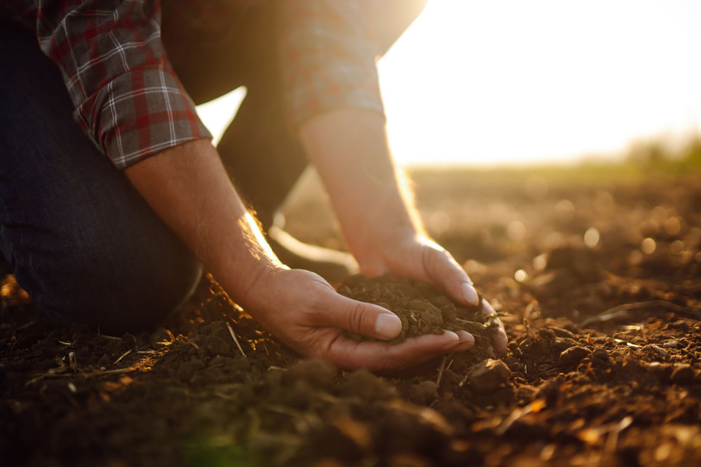 Holding Fertilizer