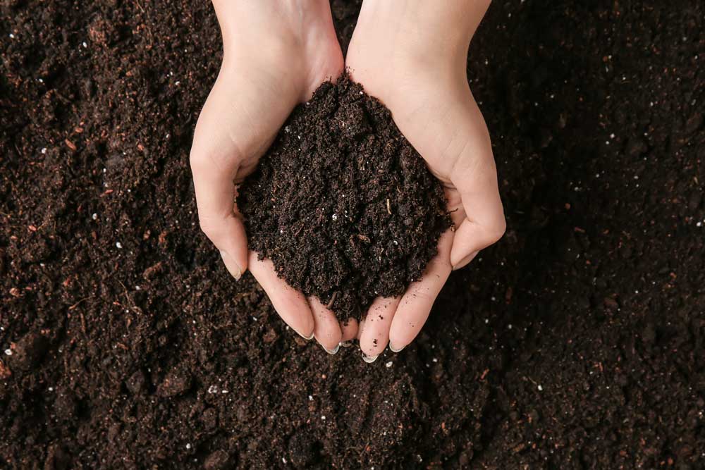 Holding Topsoil