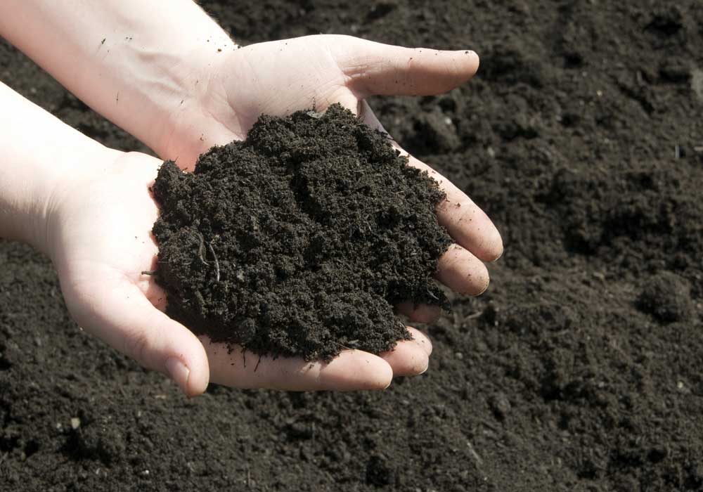 Holding Topsoil