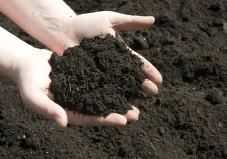 Topsoil