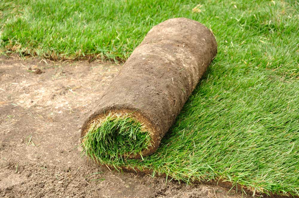 New Sod Rolling Out