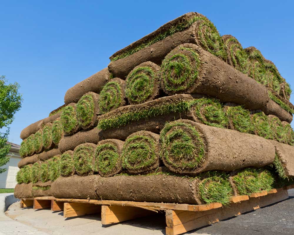 Rolls Of Sod