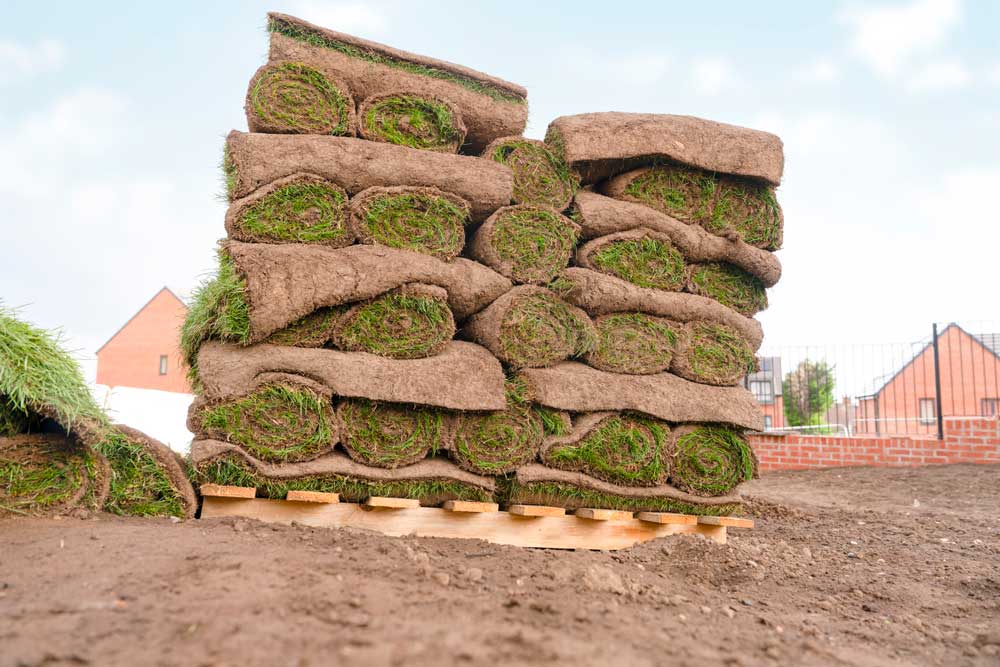 Sod Packed On Pallet