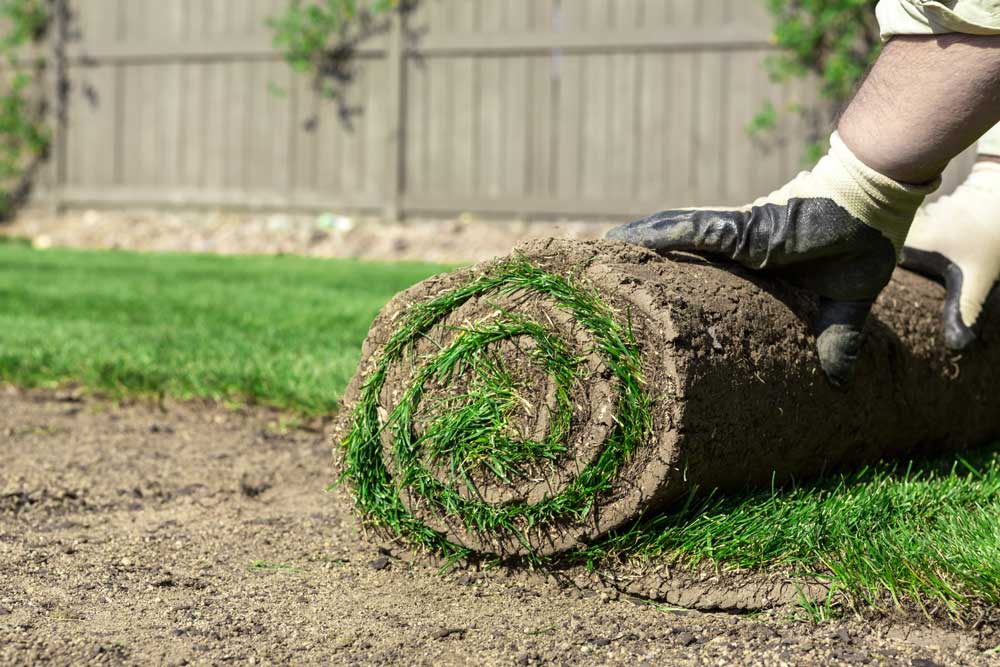 Sod Rolled Up